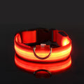 COLEIRA RGB LED PARA CÃES DE PORTE PEQUENO, MÉDIO, E GRANDE