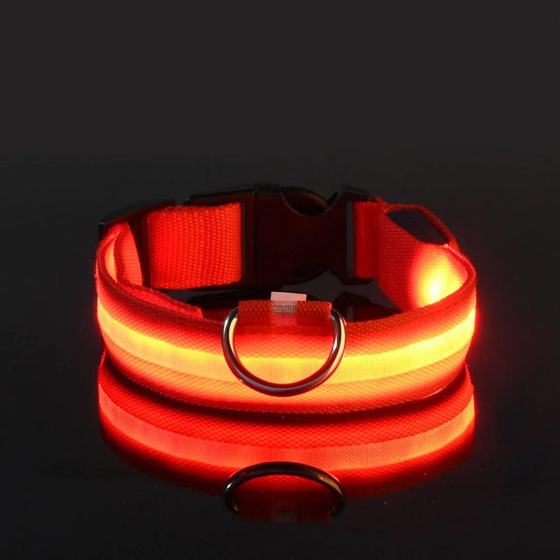 COLEIRA RGB LED PARA CÃES DE PORTE PEQUENO, MÉDIO, E GRANDE