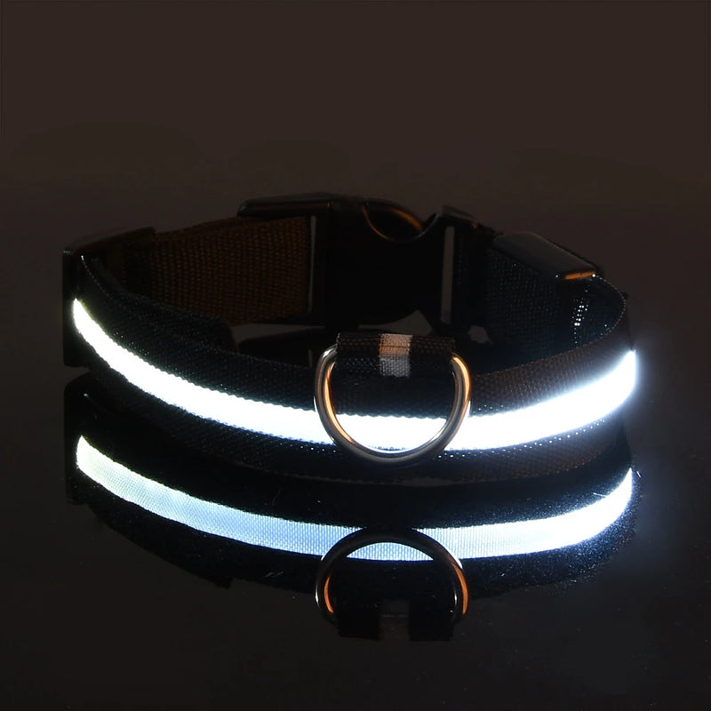 COLEIRA RGB LED PARA CÃES DE PORTE PEQUENO, MÉDIO, E GRANDE