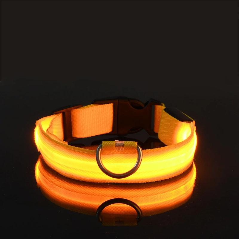 COLEIRA RGB LED PARA CÃES DE PORTE PEQUENO, MÉDIO, E GRANDE
