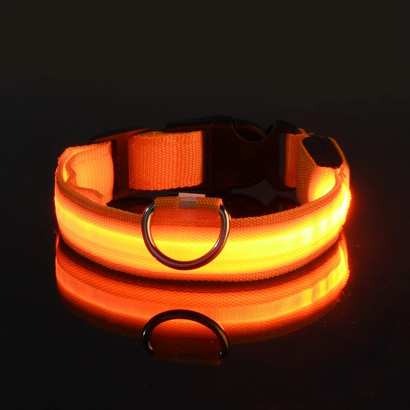 COLEIRA RGB LED PARA CÃES DE PORTE PEQUENO, MÉDIO, E GRANDE