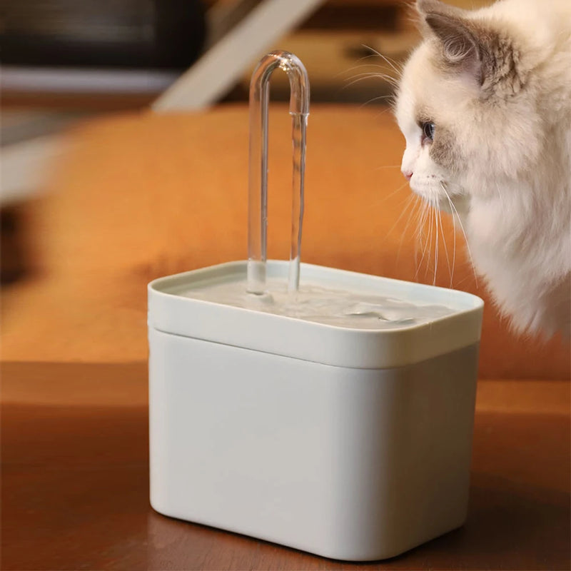 Bebedouro para gatos automático econômico